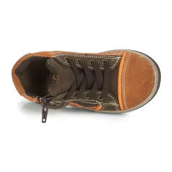 Citrouille et Compagnie - HARCO Camel Outlet