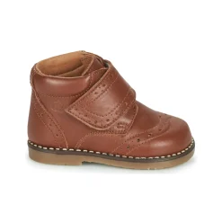 Citrouille et Compagnie - PROYAL Camel
