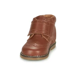 Citrouille et Compagnie - PROYAL Camel