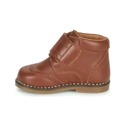 Citrouille et Compagnie - PROYAL Camel