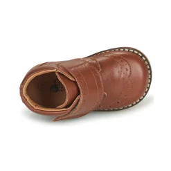Citrouille et Compagnie - PROYAL Camel