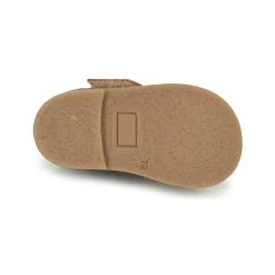 Citrouille et Compagnie - PROYAL Camel