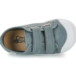 Citrouille et Compagnie - GLASSIA Gris Clearance