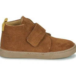 Citrouille et Compagnie - FOJAMO Camel New
