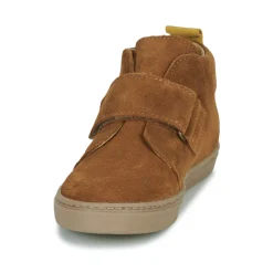 Citrouille et Compagnie - FOJAMO Camel New