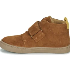 Citrouille et Compagnie - FOJAMO Camel New