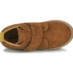 Citrouille et Compagnie - FOJAMO Camel New