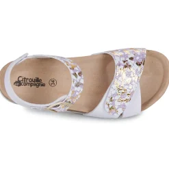 Citrouille et Compagnie - CHOMINA Violet Outlet