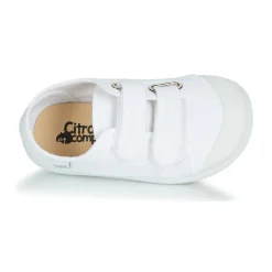 Citrouille et Compagnie - GLASSIA< Baskets Mode