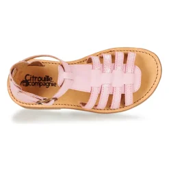 Citrouille et Compagnie - JASMA Rose Clearance