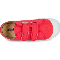 Citrouille et Compagnie Baskets Mode^- MINOT