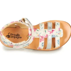Citrouille et Compagnie - MIDINA Multicolore New