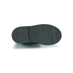 Citrouille et Compagnie - PASTEK Marine New