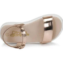 Citrouille et Compagnie - GAPOTI Bronze Best