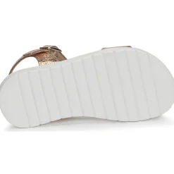 Citrouille et Compagnie - GAPOTI Bronze Best