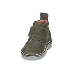 Citrouille et Compagnie - ISINI Gris Sale