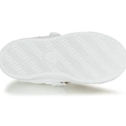 Citrouille et Compagnie - APSUT Blanc New