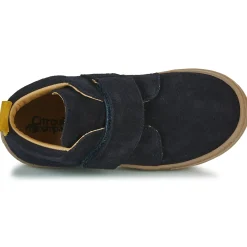 Citrouille et Compagnie - FOJAMO Marine Outlet