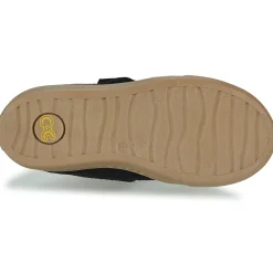 Citrouille et Compagnie - FOJAMO Marine Outlet