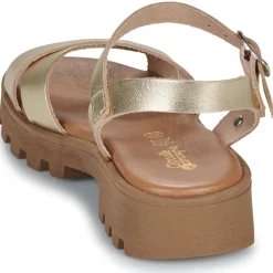 Citrouille et Compagnie - LILY Gold Hot