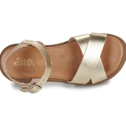 Citrouille et Compagnie - LILY Gold Hot