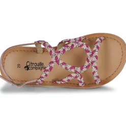 Citrouille et Compagnie - TRESSA Purple Sale