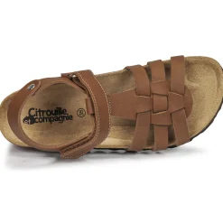 Citrouille et Compagnie - JANISOL Marron Online