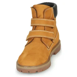 Citrouille et Compagnie - PAXA< Bottines / Boots