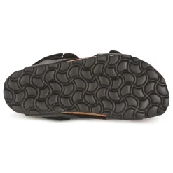 Citrouille et Compagnie - KELATU Outlet