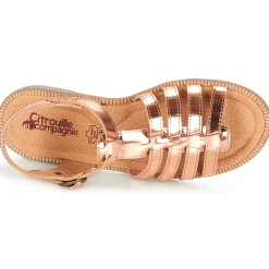 Citrouille et Compagnie - GROUFLA Bronze Online