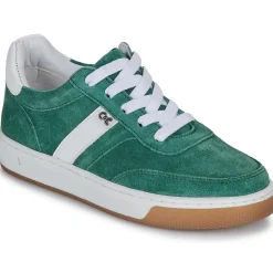 Citrouille et Compagnie - FITOU Green Discount