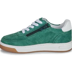 Citrouille et Compagnie - FITOU Green Discount