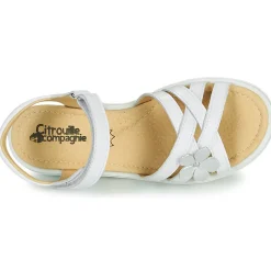 Citrouille et Compagnie - HERTUNE Blanc Hot