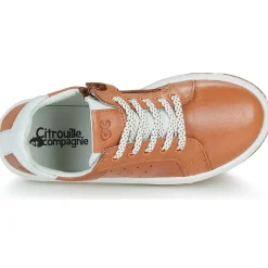 Citrouille et Compagnie - JISTOL Camel Clearance