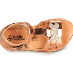 Citrouille et Compagnie - MINIMOME Bronze Sale