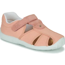 Citrouille et Compagnie - FIJOSAN Rose Outlet