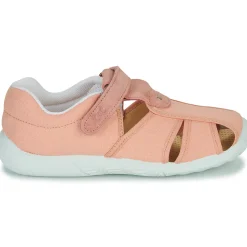 Citrouille et Compagnie - FIJOSAN Rose Outlet