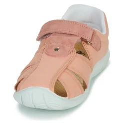 Citrouille et Compagnie - FIJOSAN Rose Outlet