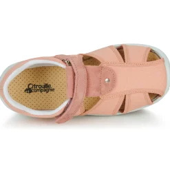 Citrouille et Compagnie - FIJOSAN Rose Outlet