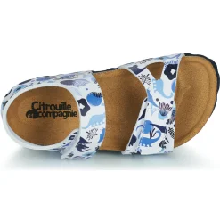 Citrouille et Compagnie - BELLI JOE Imprimébleudinosaures Discount