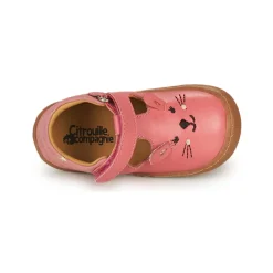 Citrouille et Compagnie Ballerines / Babies^- TIPELLE
