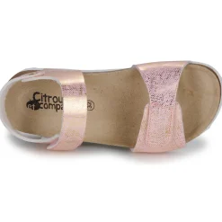 Citrouille et Compagnie - PISTAMI Rose Online