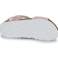 Citrouille et Compagnie - PISTAMI Rose Online