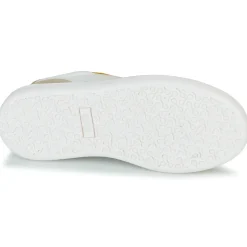 Citrouille et Compagnie - FITOS Outlet