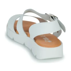 Citrouille et Compagnie - PALETTE Blanc Sale