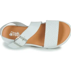 Citrouille et Compagnie - PALETTE Blanc Sale