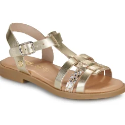 Citrouille et Compagnie - TALEAU Gold New