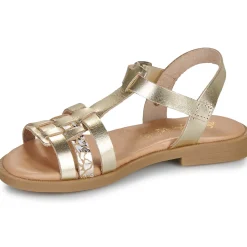 Citrouille et Compagnie - TALEAU Gold New