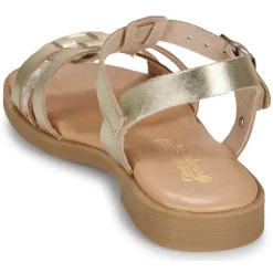 Citrouille et Compagnie - TALEAU Gold New