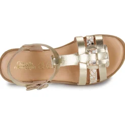Citrouille et Compagnie - TALEAU Gold New